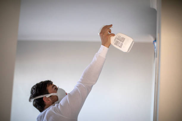 Best Black Mold Removal  in Lomira, WI