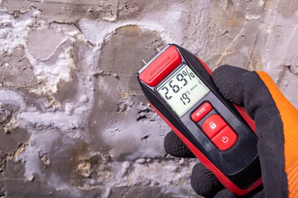 Best Mold Testing  in Lomira, WI
