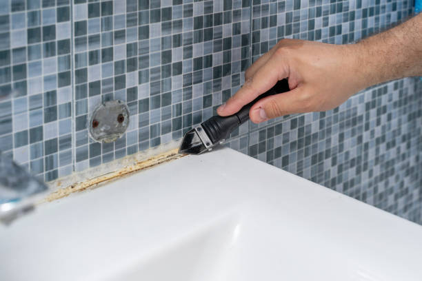 Best Best Mold Removal Companies  in Lomira, WI