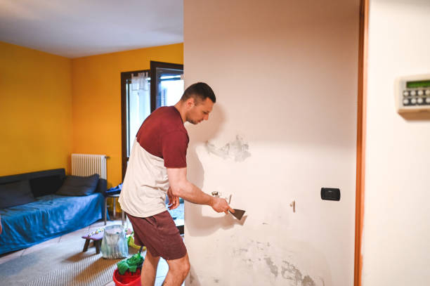Best Affordable Mold Removal  in Lomira, WI